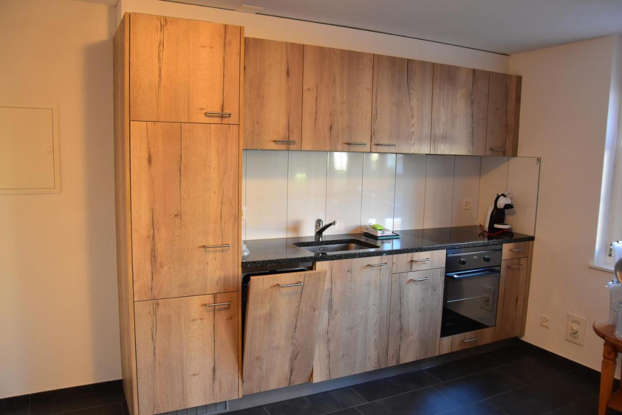 Chemihuettli Apartments Axalp Eksteriør bilde