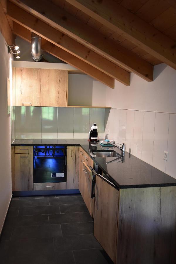 Chemihuettli Apartments Axalp Eksteriør bilde
